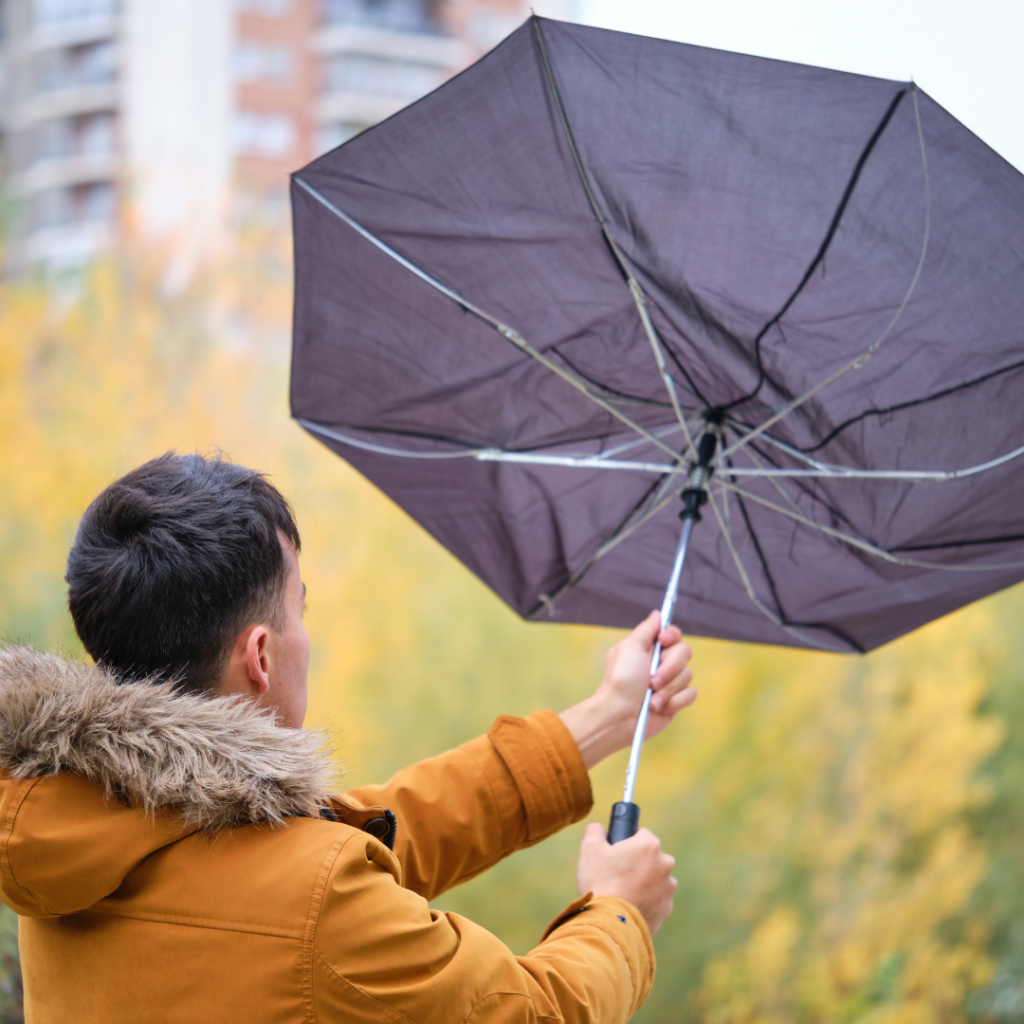 Storm-Ready Solar: How Viridian Solar Stands Strong Amidst UK Weather Challenges